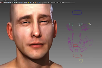 be 3d character rigger,3d facial animation,wonder studio rig,facs mocap retarget