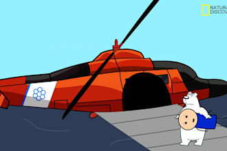 make high quality 2d animations for cheap