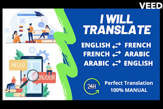 provide professional translation and transcription
