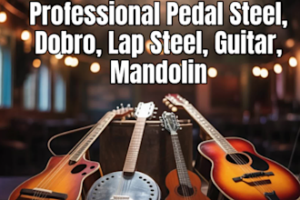 record professional pedal steel, dobro, lap steel, guitar, and mandolin tracks