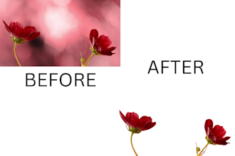 do photo background removal