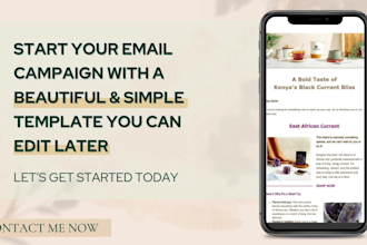 create a canva email template in one day USA seller