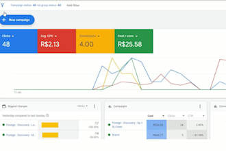 setup and manage google ads as an expert ppc adwords manager