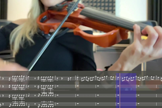make violin transcriptions for any request