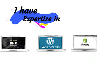 do any wordpress customization and create responsive wesite