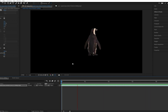 removal video background  and footage clean edits pro