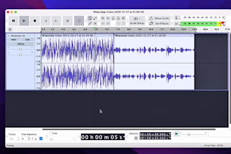 unclear voice or audio recordings clean, fix, and enhance professionally