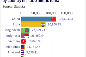 do flourish data visualization market, company insight