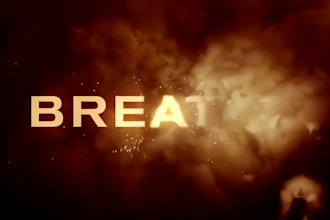 make professional title or logo intro in 24 hours