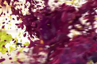 do 3d beverage animation, fruit animation, 3d can design, soda, 3d food modeling