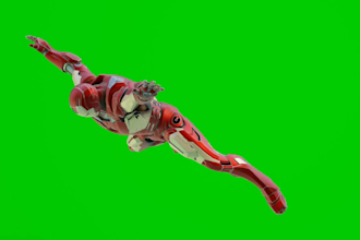 do 3d character animation and modeling or rigging