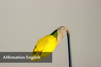 soothing voice for meditations, asmr and storytelling