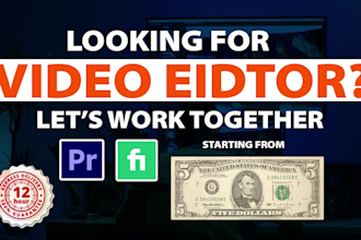 do professional video editing within 12 hours