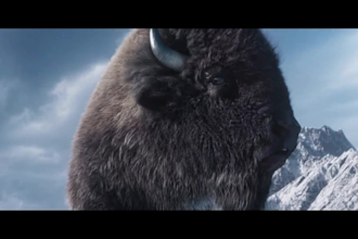 cgi animal animation 3d animal model vfx composite 3d animal animation into film