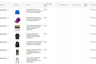 do ebay SEO optimized listing to boost sales