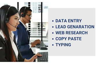 do data entry, copy paste, web research, web scraping, and excel data entry