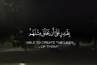 create beautiful quran recitation videos with translation