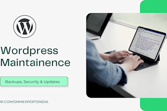 ensure backups updates and maintenance of any wordpress site
