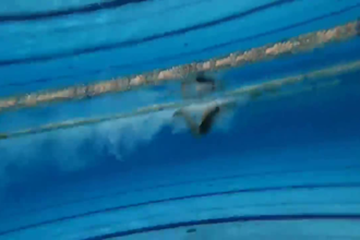 create a personalized swim training plan, improve your technique and performance