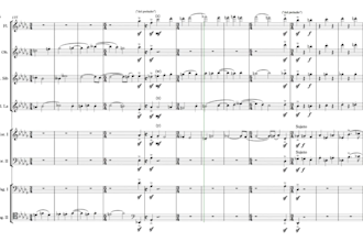 create professional chamber music arrangements and orchestral score reductions