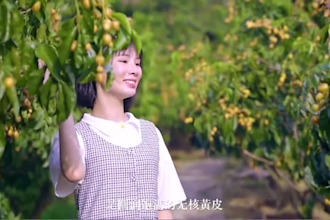 record a professional chinese female voice over