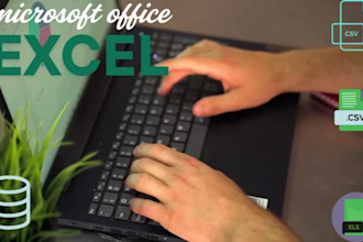 do excel data enrty, formulas, and spreadsheet design