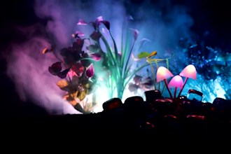 create an amazing cinematic book trailer promo in any genre