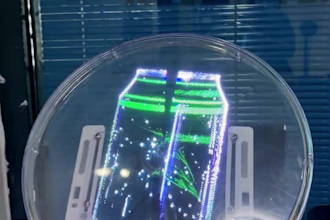 design eye catching 3d food hologram animations for ads and displays