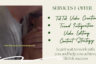do tiktok video ads, instagram,  shopify facebook video ads