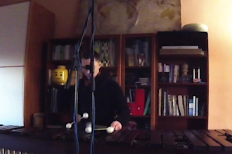 record real acoustic marimba, vibraphone and pitched percussions