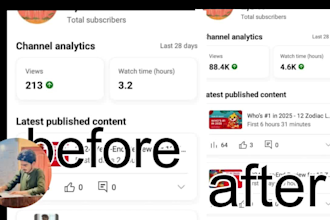 do super  organic youtube video promotion for channel monetization