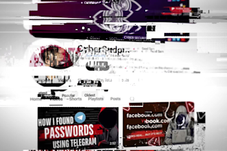be your online private osint investigator