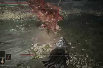 coach you on your elden ring gameplay