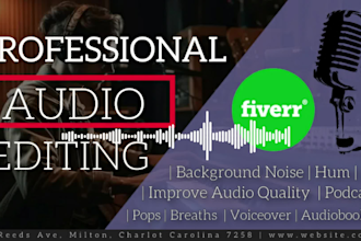 professionally edit clean, repair and fix your audio with top quality treatment