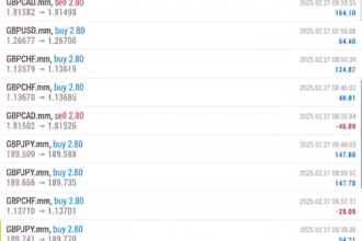 provide forex trading bot, forex ea robot, gold ea, trading bot, forex trading