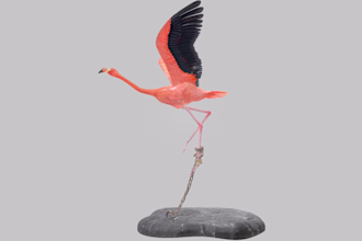 create 3d animated cartoon