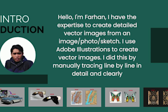 professional image to vector conversion