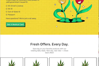 do a luxury wordpress website design and development