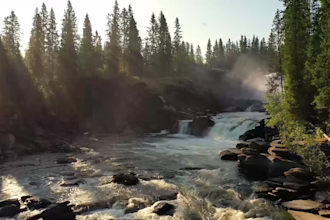 meditation videos for stress free living