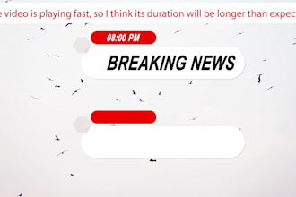 premium social media lower thirds design service  first page quality