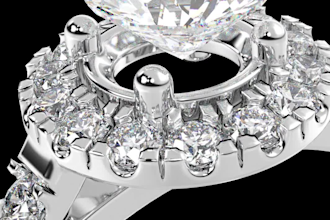 do professional jewelry design and animation