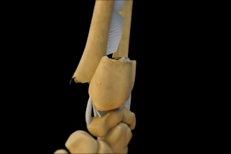 do 3d medical animation video 3d industrial animation 3d product video