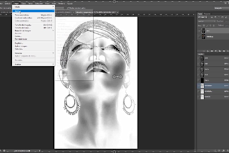 color separation for simulated and screen printing or dtg in 5 hours