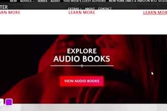 design book author website, ebook author website, wordpress author website