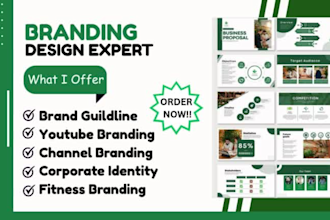 design or redesign a professional brand guildine, branding, social media kit