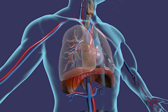 create high quality 3d medical animation, 3d medical explainer videos