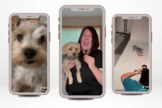 create a ugc video ad with me and my dog