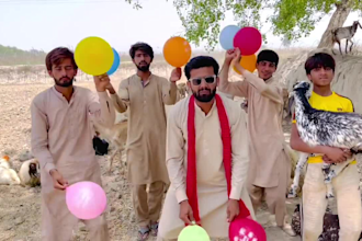 wish african happy birthday video and funny dance