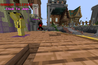 set up a professional minecraft server with custom feature
