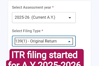 file income tax return for individual and freelancer